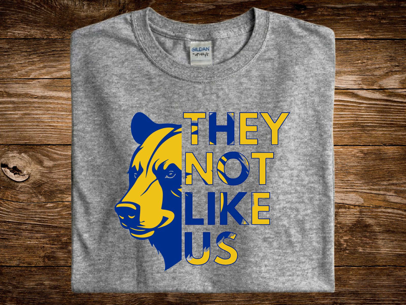 Bears - They Not Like Us (DTF PNG Graphic)