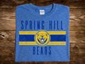 Spring Hill Circle Stripes (DTF PNG Graphic)